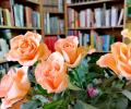 Róże dla Czytelników